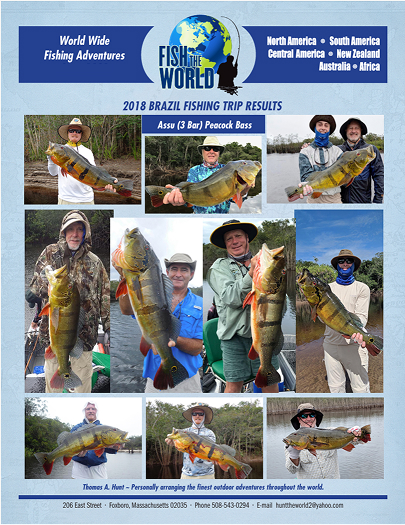 Collage of Fishing in Brazil