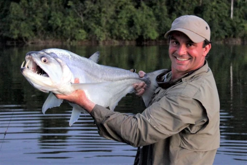 An angler holding a large payara in the Amazon.