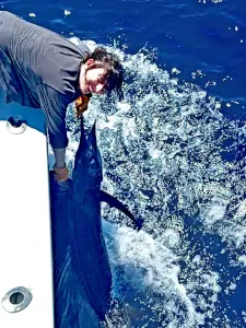 Lady angler holding a sailfish beside the boat in Costa Rica