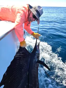 Angler in a salmon shirt holding a sailfish by the boat in Costa Rica