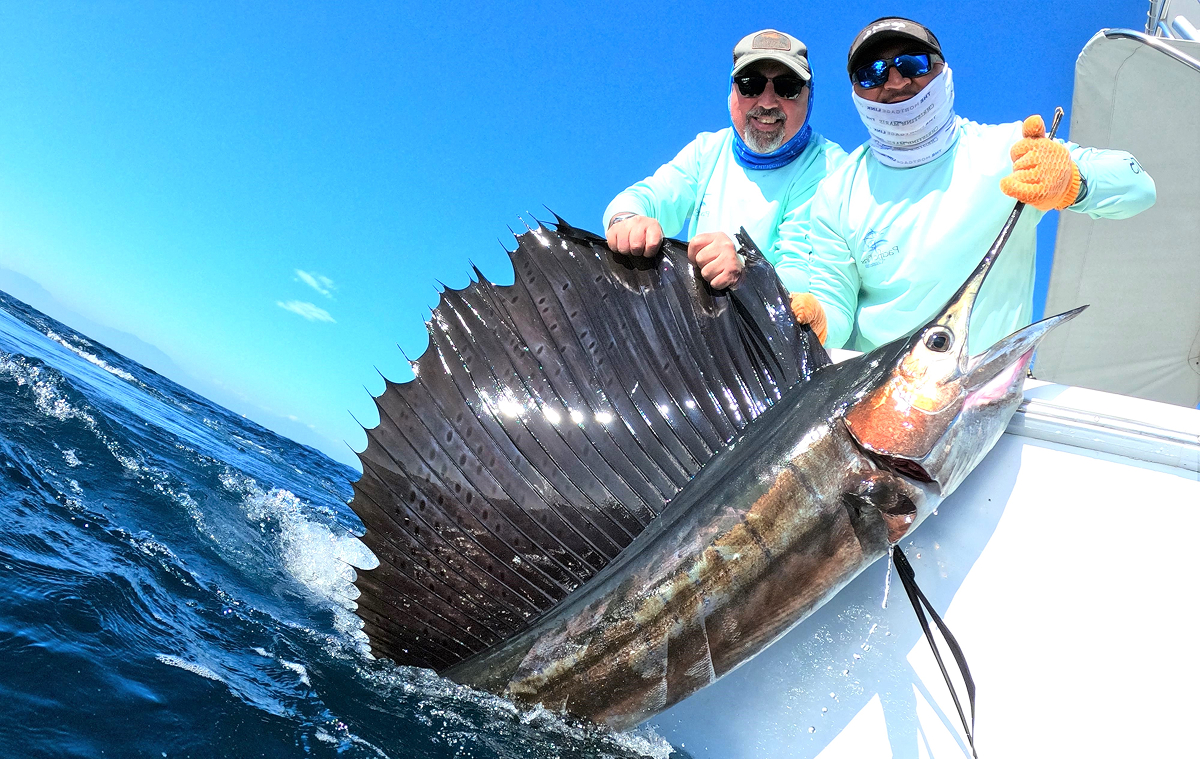 Two fishermen holding a large sailfish with its fin extended alongside a fishing boat on a sunny day with a bright blue sky and calm ocean waves, conveying a sense of excitement and accomplishment.