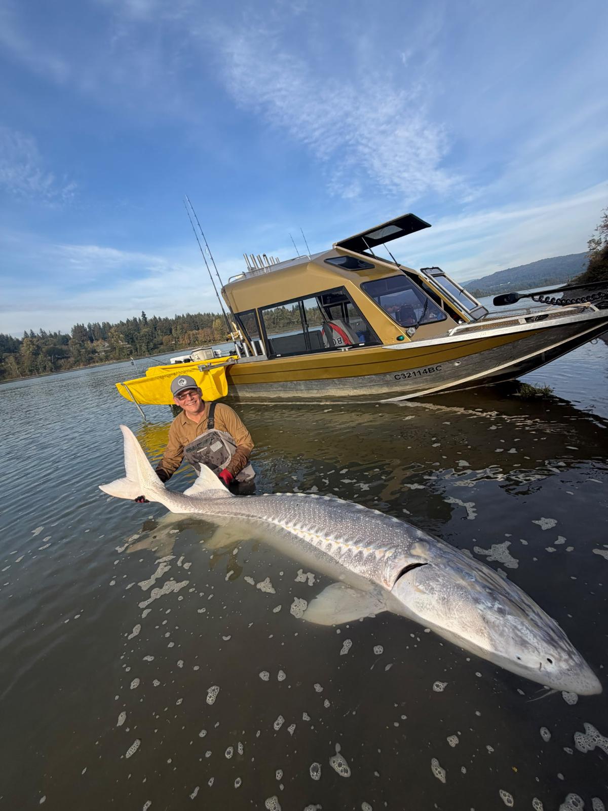 An angler with a giant white sturgeon beside a fishing boat on the Fraser River.