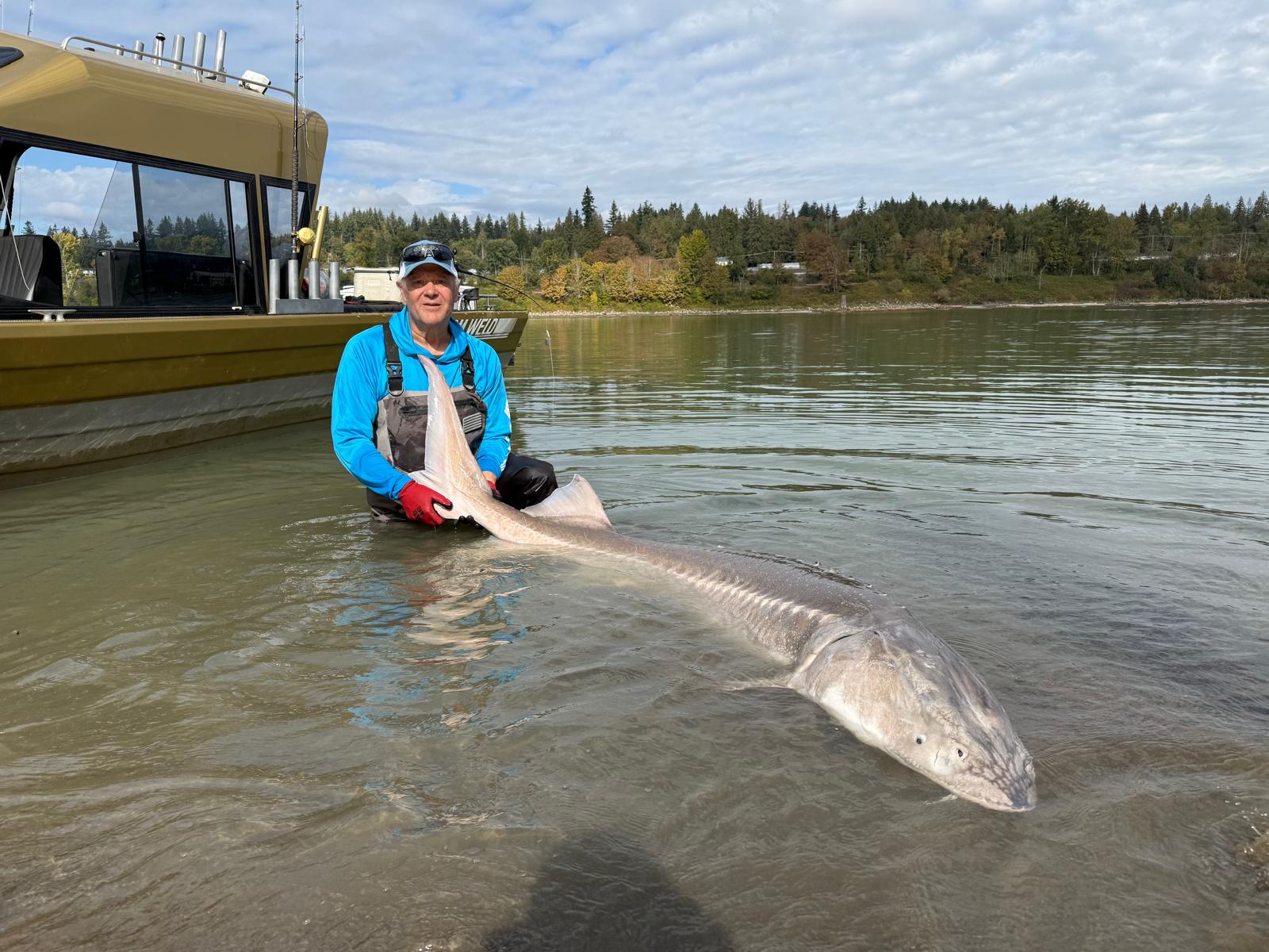 Thomas Hunt with a giant white sturgeon in the Fraser River, British Columbia.