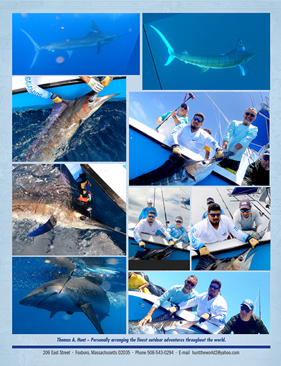 Collage of Galapagos Fishing