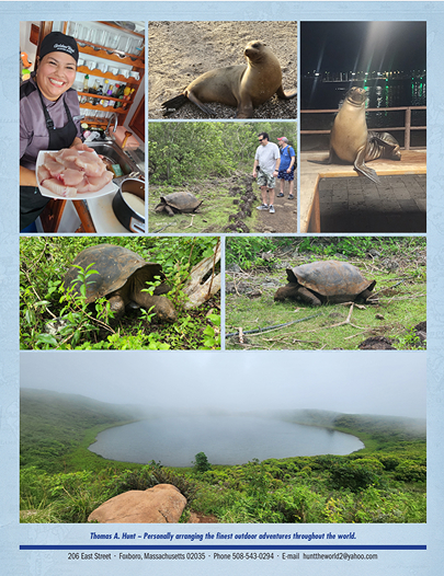 Collage of Galapagos Fishing