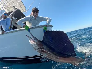 Angler with green gloves holding a sailfish at the side of the boat in Guatemala