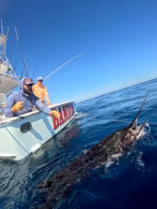 Angler bringing a sailfish to the boat by handline in Guatemala