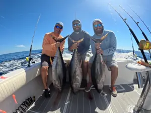 Three yellowfin tuna lined up on the dock in Guatemala