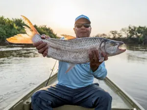 An angler showing a tigerfish at sunset in Tanzania