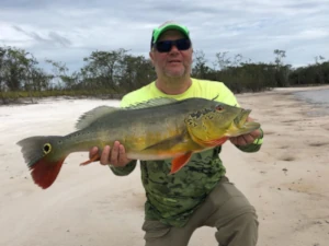 Fish the World owner Thomas Hunt holding a Peacock Bass on a sandbar in the Amazon.